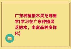 广东种植椴木灵芝哪里学(学习在广东种植灵芝椴木，丰富品种多样化)