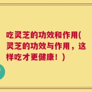 吃灵芝的功效和作用(灵芝的功效与作用，这样吃才更健康！)