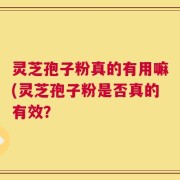 灵芝孢子粉真的有用嘛(灵芝孢子粉是否真的有效？