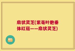 扇状灵芝(紫毫叶胞垂体红菇——扇状灵芝)