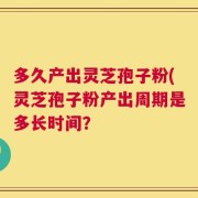 多久产出灵芝孢子粉(灵芝孢子粉产出周期是多长时间？