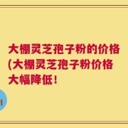 大棚灵芝孢子粉的价格(大棚灵芝孢子粉价格大幅降低！