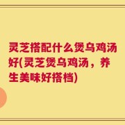 灵芝搭配什么煲乌鸡汤好(灵芝煲乌鸡汤，养生美味好搭档)
