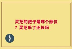灵芝的孢子是哪个部位？灵芝采了还长吗
