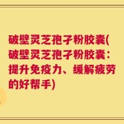 破壁灵芝孢孑粉胶囊(破壁灵芝孢孑粉胶囊：提升免疫力、缓解疲劳的好帮手)
