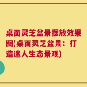 桌面灵芝盆景摆放效果图(桌面灵芝盆景：打造迷人生态景观)