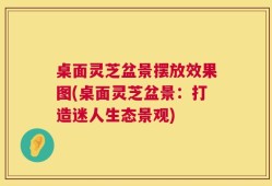 桌面灵芝盆景摆放效果图(桌面灵芝盆景：打造迷人生态景观)