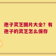孢子灵芝图片大全？有孢子的灵芝怎么保存
