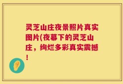 灵芝山庄夜景照片真实图片(夜幕下的灵芝山庄，绚烂多彩真实震撼！