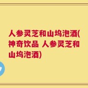 人参灵芝和山坞泡酒(神奇饮品 人参灵芝和山坞泡酒)