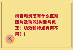 树舌和灵芝有什么区别图片及功效(树舌与灵芝：功效和特点有何不同？)