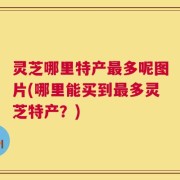 灵芝哪里特产最多呢图片(哪里能买到最多灵芝特产？)