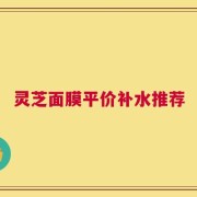 灵芝面膜平价补水推荐