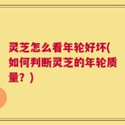 灵芝怎么看年轮好坏(如何判断灵芝的年轮质量？)