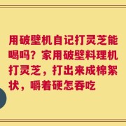 用破壁机自记打灵芝能喝吗？家用破壁料理机打灵芝，打出来成棉絮状，嚼着硬怎吞吃