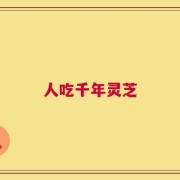 人吃千年灵芝