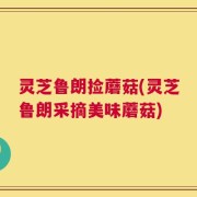 灵芝鲁朗捡蘑菇(灵芝鲁朗采摘美味蘑菇)