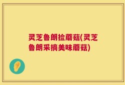 灵芝鲁朗捡蘑菇(灵芝鲁朗采摘美味蘑菇)
