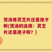 煲汤用灵芝片还是孢子粉(煲汤的选择：灵芝片还是孢子粉？)