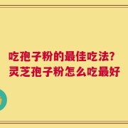 吃孢子粉的最佳吃法？灵芝孢子粉怎么吃最好