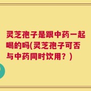 灵芝孢子是跟中药一起喝的吗(灵芝孢子可否与中药同时饮用？)