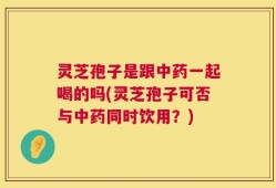 灵芝孢子是跟中药一起喝的吗(灵芝孢子可否与中药同时饮用？)