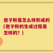 孢子粉是怎么样形成的(孢子粉的生成过程是怎样的？)