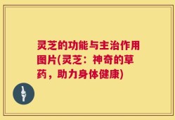 灵芝的功能与主治作用图片(灵芝：神奇的草药，助力身体健康)