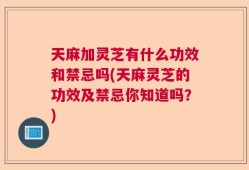 天麻加灵芝有什么功效和禁忌吗(天麻灵芝的功效及禁忌你知道吗？)