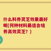 什么料养灵芝效果最好呢(何种材料最适合培养高效灵芝？)