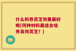 什么料养灵芝效果最好呢(何种材料最适合培养高效灵芝？)