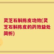 灵芝石斛陈皮功效(灵芝石斛陈皮的药效益处简析)