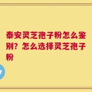 泰安灵芝孢子粉怎么鉴别？怎么选择灵芝孢子粉