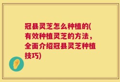 冠县灵芝怎么种植的(有效种植灵芝的方法，全面介绍冠县灵芝种植技巧)