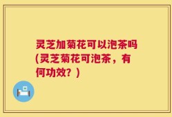 灵芝加菊花可以泡茶吗(灵芝菊花可泡茶，有何功效？)