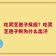 吃灵芝孢子反应？吃灵芝孢子粉为什么出汗