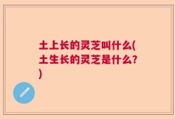 土上长的灵芝叫什么(土生长的灵芝是什么？)