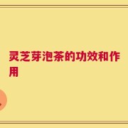 灵芝芽泡茶的功效和作用