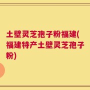 土壁灵芝孢子粉福建(福建特产土壁灵芝孢子粉)