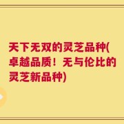 天下无双的灵芝品种(卓越品质！无与伦比的灵芝新品种)