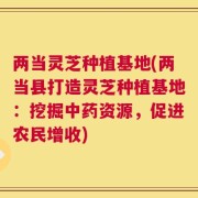 两当灵芝种植基地(两当县打造灵芝种植基地：挖掘中药资源，促进农民增收)