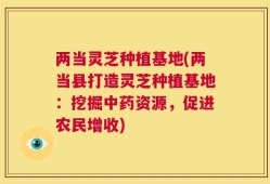 两当灵芝种植基地(两当县打造灵芝种植基地：挖掘中药资源，促进农民增收)