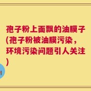 孢子粉上面飘的油膜子(孢子粉被油膜污染，环境污染问题引人关注)