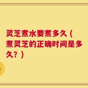 灵芝煮水要煮多久 (煮灵芝的正确时间是多久？)