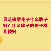 灵芝碰壁孢子什么牌子好？什么牌子的孢子粉比较好