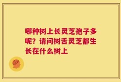 哪种树上长灵芝孢子多呢？请问树舌灵芝都生长在什么树上