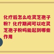 化疗后怎么吃灵芝孢子粉？化疗期间可以吃灵芝孢子粉吗能起到哪些作用