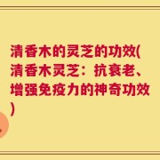 清香木的灵芝的功效(清香木灵芝：抗衰老、增强免疫力的神奇功效)
