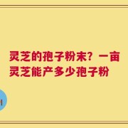 灵芝的孢子粉末？一亩灵芝能产多少孢子粉