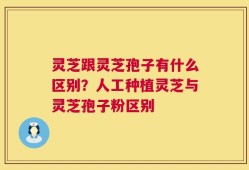 灵芝跟灵芝孢子有什么区别？人工种植灵芝与灵芝孢子粉区别